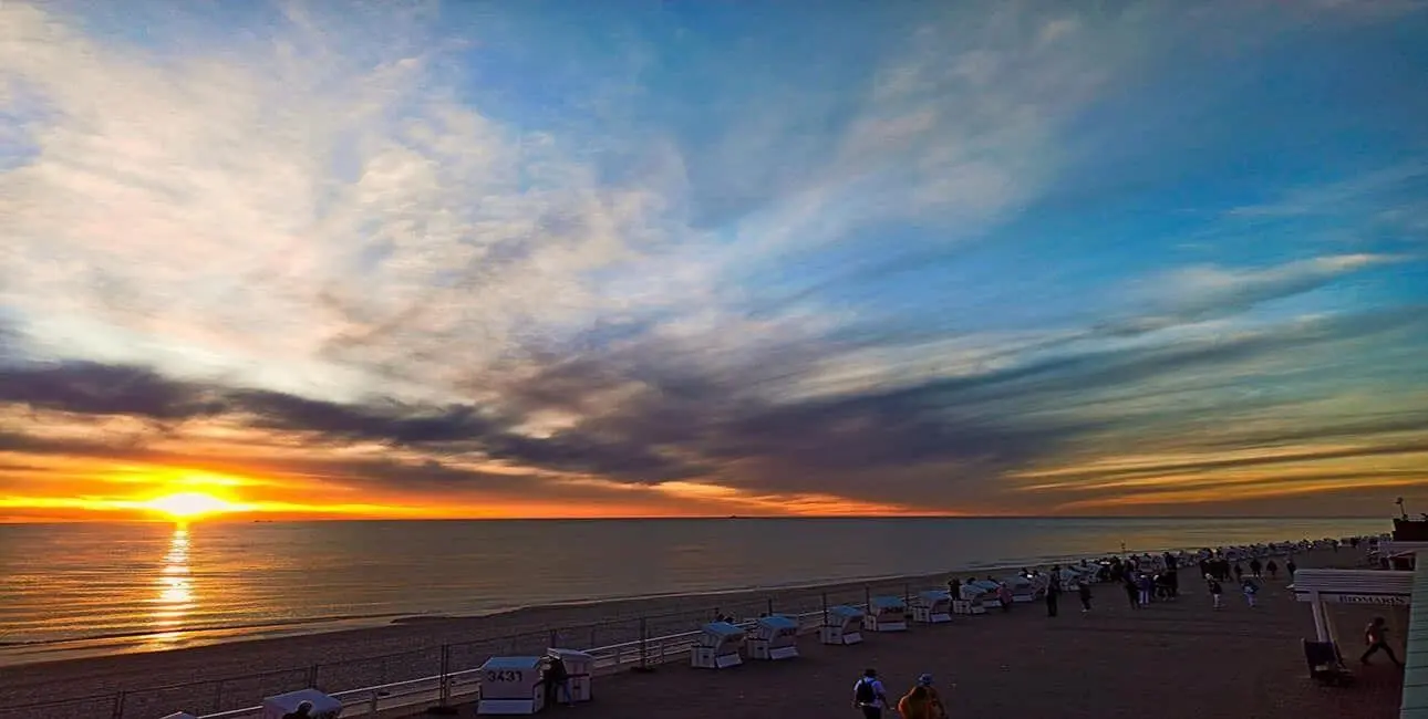 CHIMUWAVES Kunst auf Leidenschaft