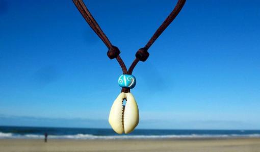Muschelkette Kauri Muschel Lederkette