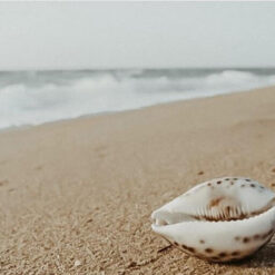 Muschelschmuck